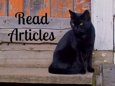 Black Cat Articles